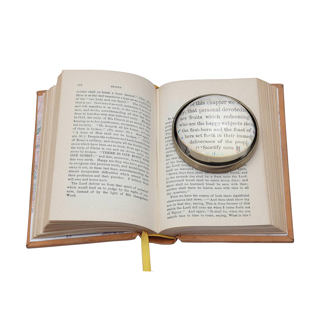 Hello Honey® 3" Round Paperweight Magnifying Glass